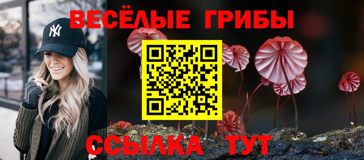 Псилоцибиновые грибы Cubensis  Вход с VPN  Ханты-Мансийск 