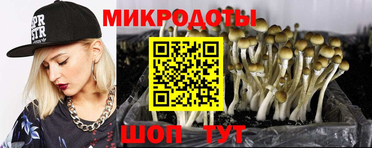 Псилоцибиновые грибы GOLDEN TEACHER Ханты-Мансийск