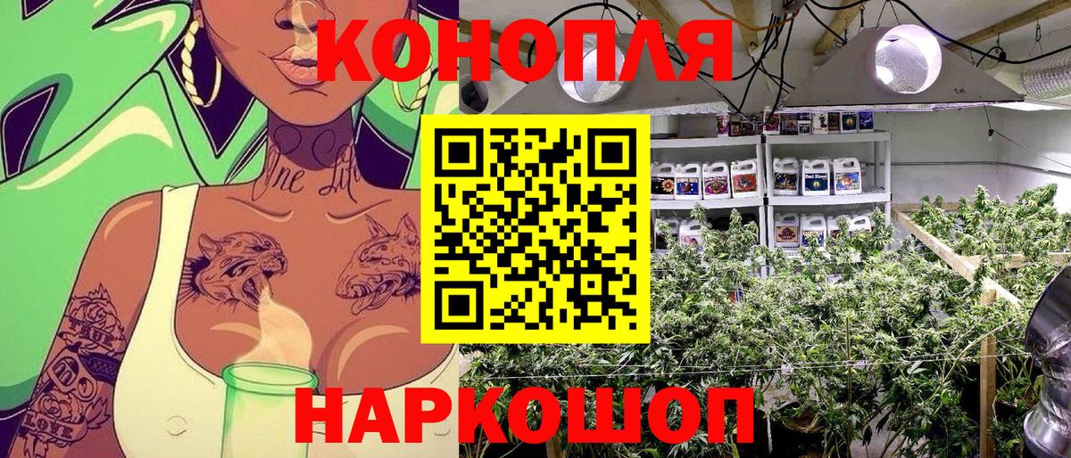 Шишки марихуана марихуана Ханты-Мансийск