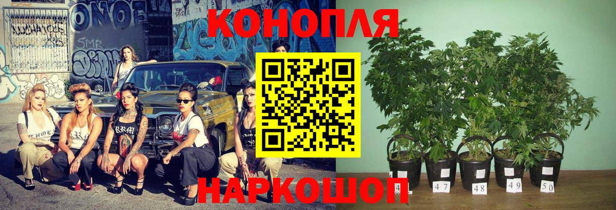 Конопля White Widow  Марихуана планчик  Ханты-Мансийск  Вход с VPN  Марихуана Amnesia 